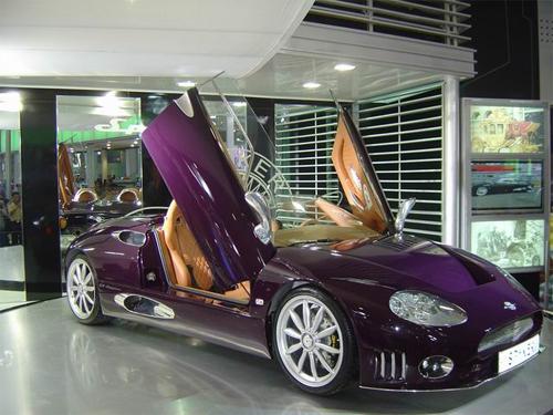 荷兰世爵跑车2007年损失7200万欧元